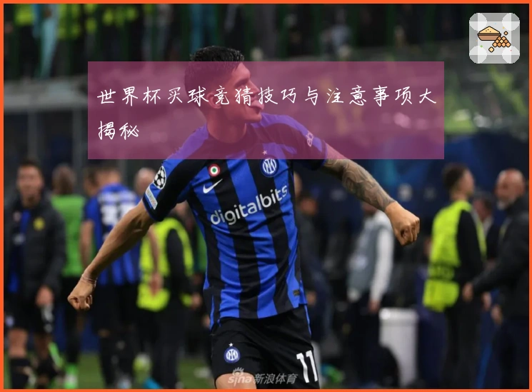 世界杯买球竞猜技巧与注意事项大揭秘