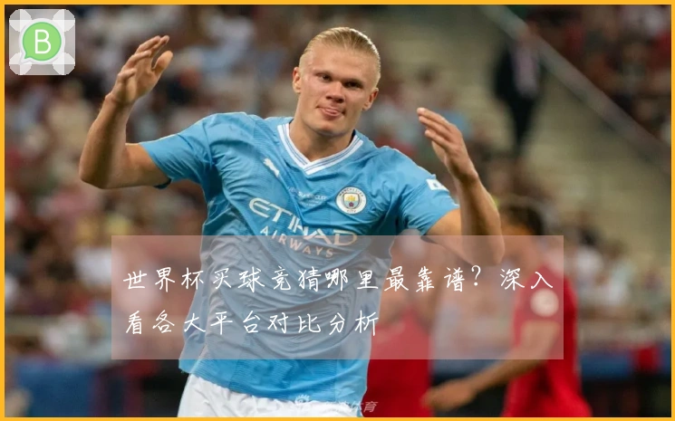 世界杯买球竞猜哪里最靠谱？深入看各大平台对比分析