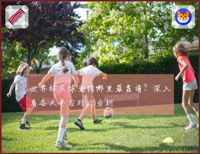 世界杯买球竞猜哪里最靠谱？深入看各大平台对比分析