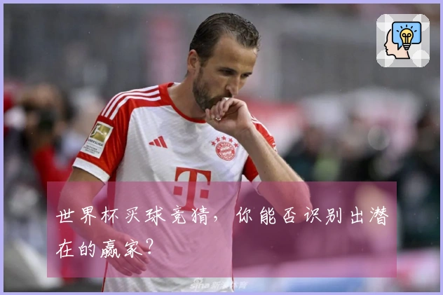 世界杯买球竞猜，你能否识别出潜在的赢家？