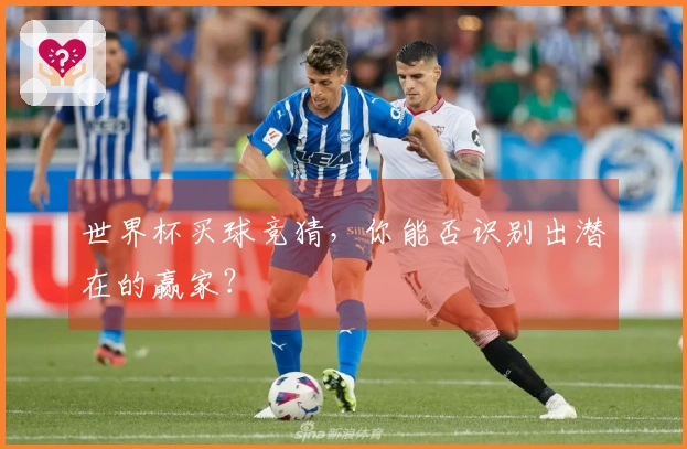 世界杯买球竞猜，你能否识别出潜在的赢家？