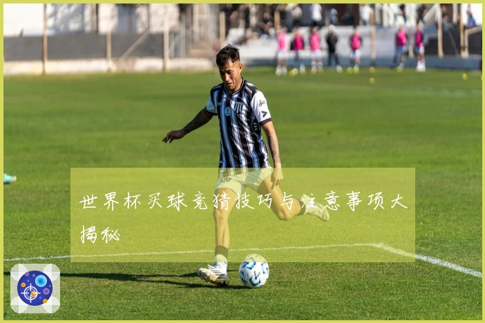 世界杯买球竞猜技巧与注意事项大揭秘